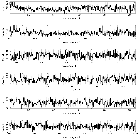 Counts Spectrum (2)_Mrk 509_obsid_11387