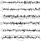 Counts Spectrum (2)_RX J0806.3+1527(HM Cnc)_obsid_12061