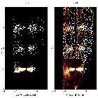 Order-sorting image_NGC 1068_obsid_329