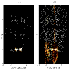 Order-sorting image_TW Hydrae_obsid_13250
