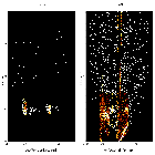 Order-sorting image_RX J1856.5-3754_obsid_13198