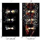 Order-sorting image_PKS 2005-489_obsid_12296