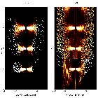 Order-sorting image_X Per (HD 24534)_obsid_12447