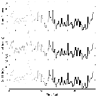 Light curve_X Per (HD 24534)_obsid_12447