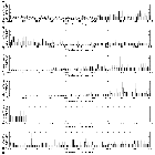 Flux spectrum (2)_X Per (HD 24534)_obsid_12447