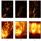 Source region detail images_Cas A - R2 - DEMO ONLY_obsid_10703