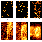 Source region detail images_Cas A - R6 - DEMO ONLY_obsid_12206