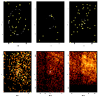 Source region detail images_G292 - Gz1 - DEMO ONLY_obsid_12555