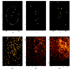 Source region detail images_G292 - Gz1 - DEMO ONLY_obsid_13243