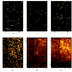 Source region detail images_G292 - Gz1 - DEMO ONLY_obsid_13242