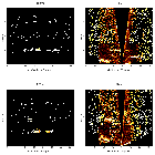 Order-sorting image_RX J0103.6-7201_obsid_12147