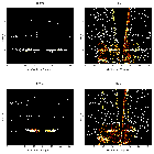 Order-sorting image_FK Com (HD 117555)_obsid_12297