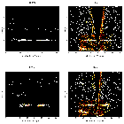 Order-sorting image_FK Com (HD 117555)_obsid_13259