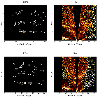 Order-sorting image_Sgr A*_obsid_13847
