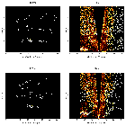 Order-sorting image_Sgr A*_obsid_14427
