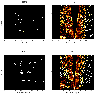 Order-sorting image_Sgr A*_obsid_13848