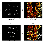 Order-sorting image_Sgr A*_obsid_13845