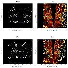 Order-sorting image_Sgr A*_obsid_13849