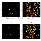 Order-sorting image_Sgr A*_obsid_13841