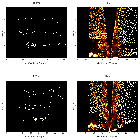 Order-sorting image_Sgr A*_obsid_13853