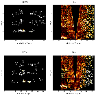 Order-sorting image_Sgr A*_obsid_13839