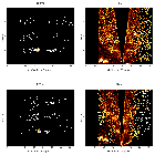 Order-sorting image_Sgr A*_obsid_13840