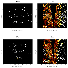 Order-sorting image_Sgr A*_obsid_13838