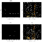 Order-sorting image_3C 445_obsid_14194