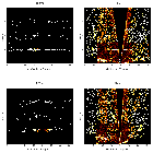 Order-sorting image_3C 445_obsid_13306