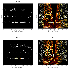 Order-sorting image_3C 445_obsid_13305