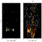 Order-sorting image_RX J1856.5-3754_obsid_14267
