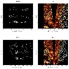 Order-sorting image_Sgr A*_obsid_13852