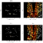 Order-sorting image_Sgr A*_obsid_14439
