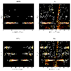 Order-sorting image_Capella_obsid_5040