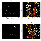 Order-sorting image_Sgr A*_obsid_15570