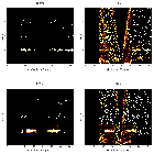 Order-sorting image_zeta Ori_obsid_13461