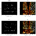 Order-sorting image_NGC 3393_obsid_13967