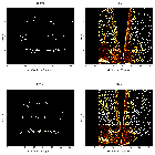 Order-sorting image_NGC 1365_obsid_13920