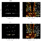 Order-sorting image_NGC 1365_obsid_13921