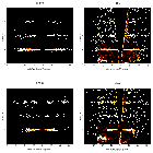 Order-sorting image_SMC X-1_obsid_15494