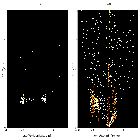 Order-sorting image_RX J1856.5-3754 _obsid_16265