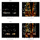Order-sorting image_delta Ori (HD 36486)_obsid_14570