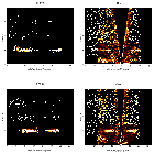 Order-sorting image_delta Ori (HD 36486)_obsid_14568