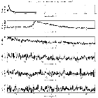 Counts Spectrum (1)_Crab Pulsar (in M 1)_obsid_14687