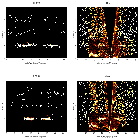 Order-sorting image_WR 6_obsid_14533
