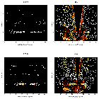 Order-sorting image_WR 6_obsid_14535