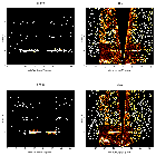 Order-sorting image_WR 6_obsid_14534