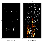 Order-sorting image_RX J1856.5-3754 _obsid_16422