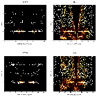Order-sorting image_CXOM31 J004238.5+411603_obsid_15562