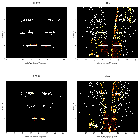 Order-sorting image_IGR J17454-2919_obsid_15744